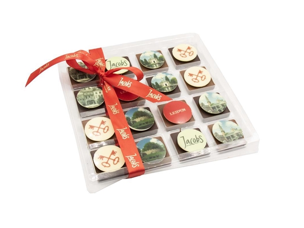 Blister Leiden (16 vaks)